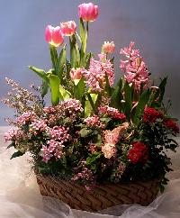 Flowering Garden Plant Basket