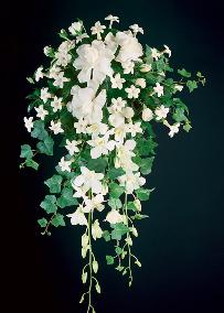 Cascading Bridal Bouquet, Gardenias, Dendrobium Orchids, Stephanotis, Ivy...