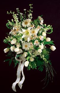 Cascading Bridal Bouquet, Tulips, Gerbera Daisies, Delphinium, Snapdragons...